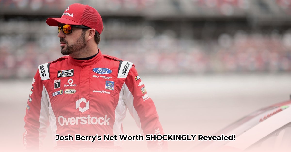 josh-berry-net-worth